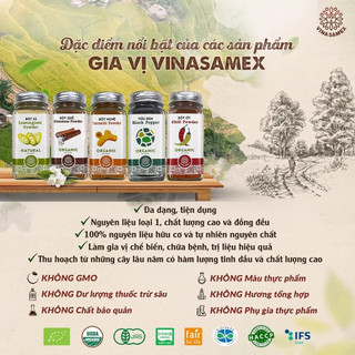 Bột gia vị hữu cơ hành - tỏi - gừng - nghệ - tiêu - ớt - sả - quế - hồi Vinasamex