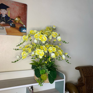 TẶNG CHẬU - bộ nguyên liệu chậu lan 28 chi tiết(10cành lan hồ điệp vải cành 60cm)-trang trí không gian sống tươi sáng