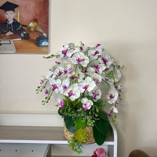 TẶNG CHẬU - bộ nguyên liệu chậu lan 28 chi tiết(10cành lan hồ điệp vải cành 60cm)-trang trí không gian sống tươi sáng