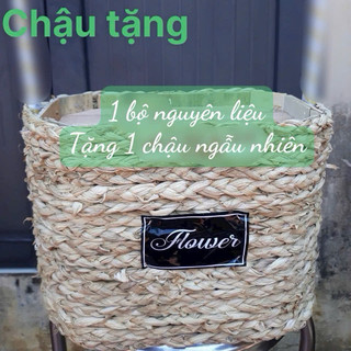 TẶNG CHẬU - bộ nguyên liệu chậu lan 28 chi tiết(10cành lan hồ điệp vải cành 60cm)-trang trí không gian sống tươi sáng