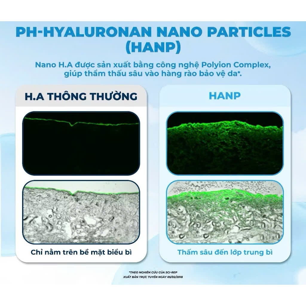 Tinh Chất Dưỡng Da 9 Wishes Hydra Ampule II 30ml
