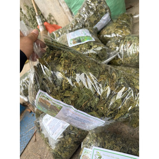 Lá Dâu Tằm Khô 1kg Nguyên Chất | Dược Liệu Khô Chọn Lọc | Thảo Dược Đạt Huyền