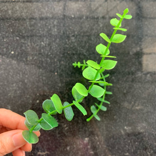 100g Lá táo tim 17cm chất liệu nhựa mềm (100g) trang trí hộp quà,tấm thiếp,và nhiều ý tưởng sáng tạo trang trí khác