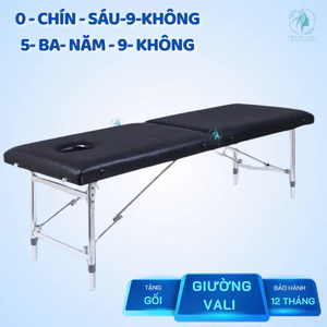 Giường spa gấp vali chân inox - giường spa gấp gọn, HÀNG SẴN XƯỞNG