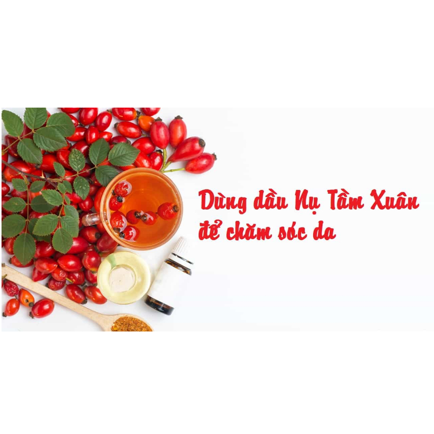 DẦU NỤ TẦM XUÂN (ROSEHIP OIL) - Dung tích 250ml 500ml 1 lít