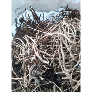 Củ sâm nổ khô (sâm tanh tách, sâm đất), là loại mọc tự nhiên núi Khánh Hòa, phơi khô bằng nắng tự nhiên
