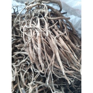 Củ sâm nổ khô (sâm tanh tách, sâm đất), là loại mọc tự nhiên núi Khánh Hòa, phơi khô bằng nắng tự nhiên