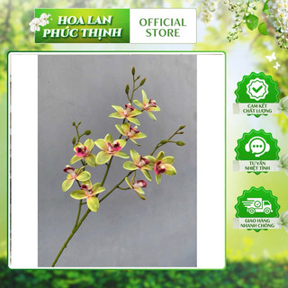 combo 10 cành lan thái ( hàng loại 1)hoa giả Chất Liệu Cao Su Trang Trí Phòng ,derco quán cà phê, bàn học, bàn làm việc