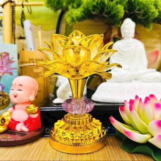 Đèn bông sen niệm phật, âm điệu niệm phật Thầy Nhuận Đức