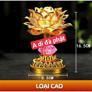 Đèn bông sen niệm phật, âm điệu niệm phật Thầy Nhuận Đức