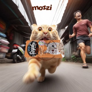 Pate cho mèo con Regalos Kitten Gói 70gr