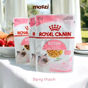 Pate cho mèo Royal Canin Babycat - Kitten - Gastro - Beauty - Hairball - Sterilised - British - Renal