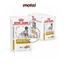 Pate cho chó Royal Canin Mini Puppy Adult - Poodle - Chihuahua - Sterilised