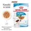 Pate cho chó Royal Canin Mini Puppy Adult - Poodle - Chihuahua - Sterilised