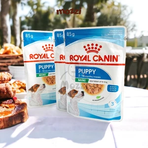 Pate cho chó Royal Canin Mini Puppy Adult - Poodle - Chihuahua - Sterilised