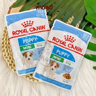 [Hộp 12 gói] Pate cho chó Royal Canin Mini Puppy Adult - Poodle - Chihuahua Gói 85g