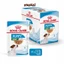 Pate cho chó Royal Canin Mini Puppy Adult - Poodle - Chihuahua - Sterilised