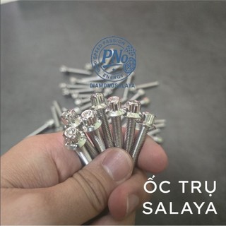 DIAMOND - ỐC TRỤ 6li D3 SALAYA 2025 (dài từ 10 -110mm) INOX 304 - SIÊU SÁNG BAO SỬ DỤNG TRỌN ĐỜI