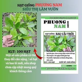 100 Hạt - Hạt Giống Cải Trời Phương Nam