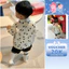 A48- bộ sơ mi chó puppy full áo- a108.291