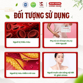 COMBO 2h Trà thảo mộc Hồng huyết Nam Y dạng túi lọc