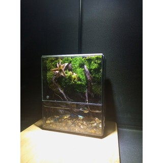 Terrarium "Thanh Lộ Viên" quà tặng tốt nghiệp ý nghĩa trang trí bàn học bàn làm việc bể nuôi cá mini