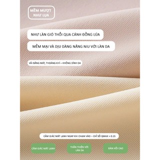 Set 10 Quần Lót Nữ Su Đúc Không Viền, Mặc Không Lộ, Co Giãn Tốt, Không Hằn Dấu, Nhiều Màu Xinh