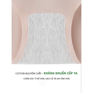 Set 10 Quần Lót Nữ Su Đúc Không Viền, Mặc Không Lộ, Co Giãn Tốt, Không Hằn Dấu, Nhiều Màu Xinh