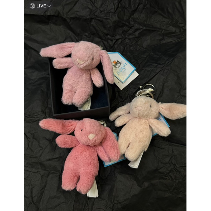 𝐓𝐫𝐚𝐦𝐲𝐧𝐠𝐮𝐲𝐞𝐧𝐃𝐚𝐢𝐥𝐲 🎉\JELLYCAT BUNNY KEYRING FULLTAG KÈM TÚI\ Móc khoá ...