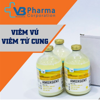 Amoxgent 100ml hỗn dịch tiêm VB Pharma trị nhiễm khuẩn Viêm phổi Viêm vú Viêm tử cung Sốt bò ăn