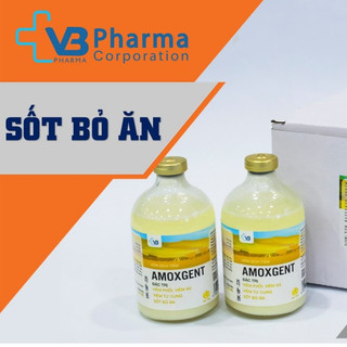 Amoxgent 100ml hỗn dịch tiêm VB Pharma trị nhiễm khuẩn Viêm phổi Viêm vú Viêm tử cung Sốt bò ăn