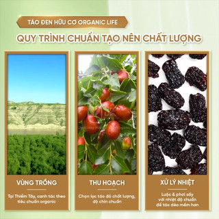 Táo đen hữu cơ Organic Life/ Green Nature Black Jujube