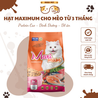 Hạt Maximum Dành Cho Mèo Từ 3 Tháng Vị Cá Hồi Cá Ngừ 1KG Hỗ Trợ Tiêu Hóa , Da , Lông và Tim Mạch