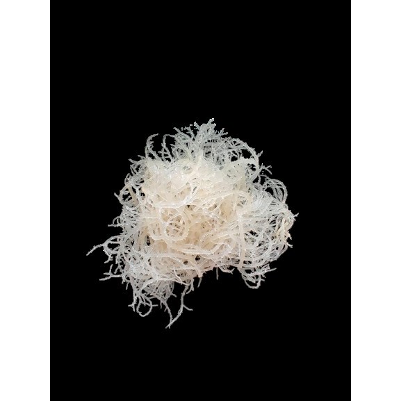 500GR GEL RONG BIỂN/ 500GR SEAMOSS GEL (TÚI/ PA - PE BAG) VỊ XOÁI/ MANGO