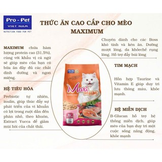 Hạt Maximum Dành Cho Mèo Từ 3 Tháng Vị Cá Hồi Cá Ngừ 1KG Hỗ Trợ Tiêu Hóa , Da , Lông và Tim Mạch