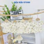 Set 2 - 5 Bộ Quần Áo Cộc Tay Thun Lạnh Sơ Sinh Chui Đầu mềm mịn cho bé 4-15 kg TG-CL10 Đậu Đậu Store