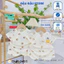 Set 2/3 bộ cộc kem cài vai thun lạnh petit mềm mịn cho bé trai bé gái size 4-14 kg DK-CV08 Đậu Đậu Store