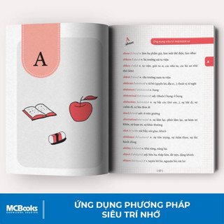 Sách - Combo Tự học giao tiếp tiếng anh cho người mới bắt đầu
