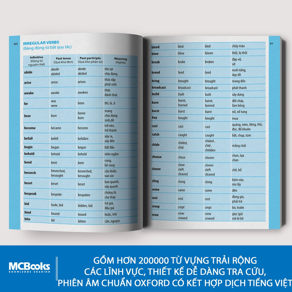 Sách - Từ Điển Anh - Việt Dành Cho Học Sinh (bìa xanh lá cây)