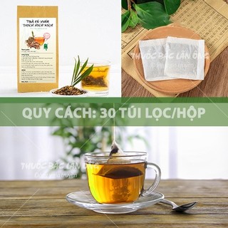 Trà thiên niên kiện cỏ xước túi lọc, hỗ trợ giảm tê bì tay chân, đau nhức xương khớp, thoái vị đĩa đệm