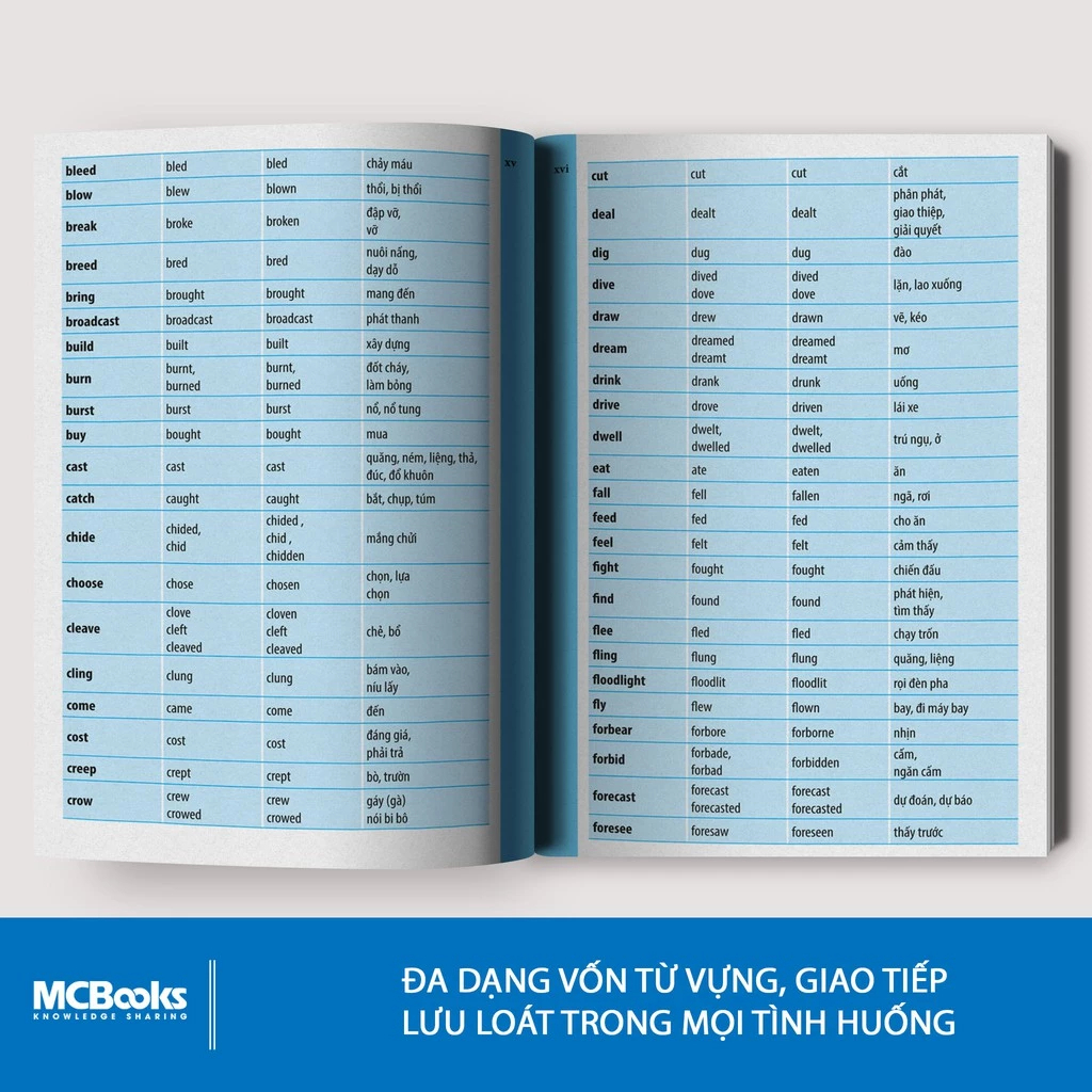 Sách - Từ Điển Anh - Việt Dành Cho Học Sinh (bìa xanh lá cây)