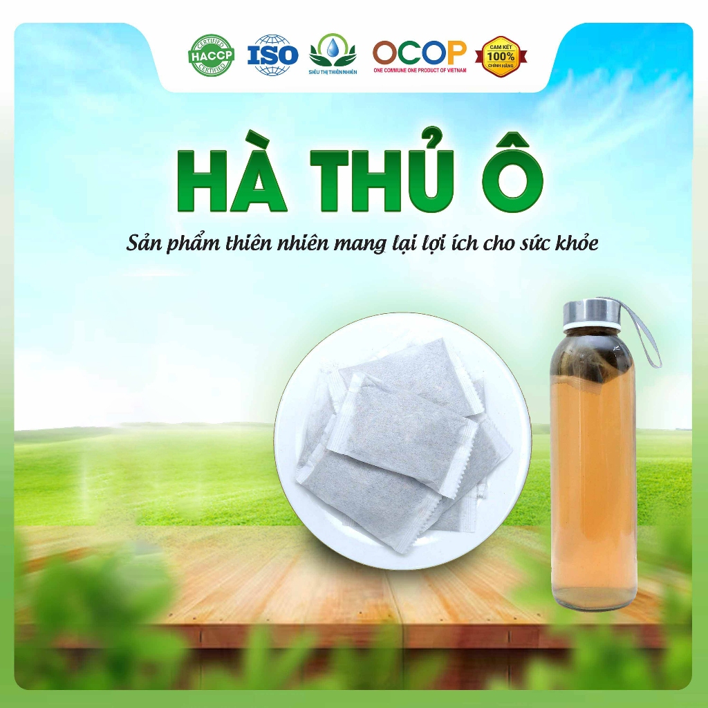 Sử dụng Túi trong đời sống