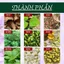 Trà An Thần Ngủ Ngon - Cụ Lang Tị - Mất Ngủ,Giúp Ngủ Ngon, Dễ Ngủ,Đẹp Da, tp Tâm Sen bịch 50 lọc