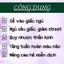 Trà An Thần Ngủ Ngon - Cụ Lang Tị - Mất Ngủ,Giúp Ngủ Ngon, Dễ Ngủ,Đẹp Da, tp Tâm Sen bịch 50 lọc