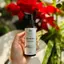 Sữa rửa mặt làm sạch và dưỡng da mịn màng Mediworld Phyto Peptide Cleanser