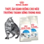 Thức Ăn Hạt Royal Canin Indoor 27, Kitten, Fit32, British Shorthair Cho Mèo