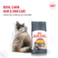 Thức Ăn Hạt Royal Canin Indoor 27, Kitten, Fit32, British Shorthair Cho Mèo