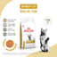 Thức Ăn Hạt Royal Canin Urinary S/O Index Cho Mèo Bị Bệnh Sỏi Thận 1+ Tuổi