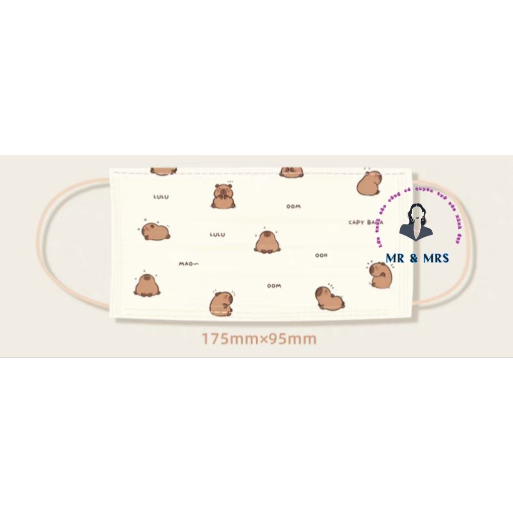 ( Set 10/30/50) Khẩu Trang Y Tế Hoạt Hình Người Lớn- MR&MRSHOUSE