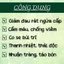 Trà Tiêu Co Trĩ - Cụ Lang Tị - Trĩ Chảy Máu, Ngứa Rát Hậu Môn, Táo Bón, Nhanh Co Se Búi Trĩ.